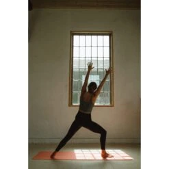 Blackroll MAT GYMBAG GT - Yogamatte 20 Blackroll MAT GYMBAG GT - Yogamatte -Primus Verkäufe 5637896171 h mat gt plus gymbag blackroll 24