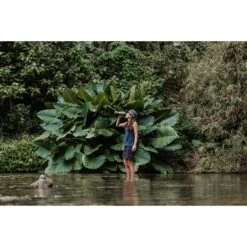 Grayl GEOPRESS PURIFIER - Trinkwasserfilter -Primus Verkäufe 5637917282 f geopress purifier grayl 24