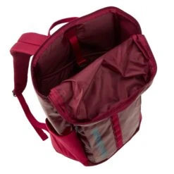 Patagonia BLACK HOLE PACK 25L Unisex - Tagesrucksack -Primus Verkäufe 5637947605 dxnfoph black hole pack 25l patagonia 24